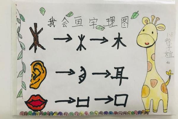 探秘汉字：手掌的'掌'字如何正确书写